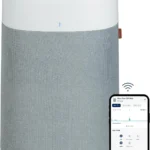 affordable air purifier for large rooms