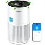 Smar portable air cleaner